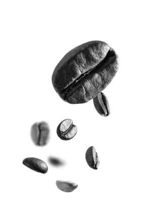 Coffee Bean